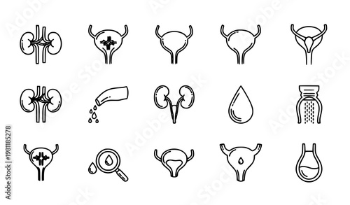 A set of black and white vector icons depicting human urinary system