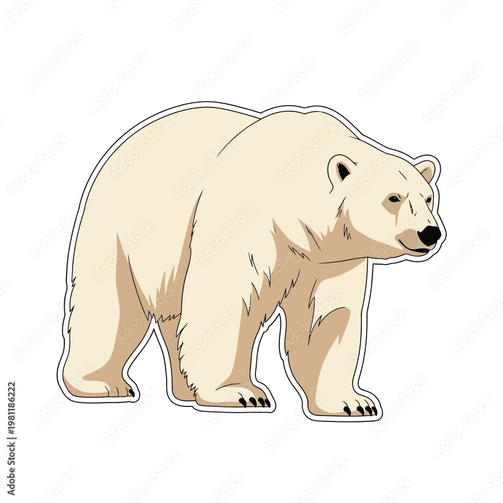 Fototapeta premium A sturdy polar bear standing gracefully on a white background. sticker