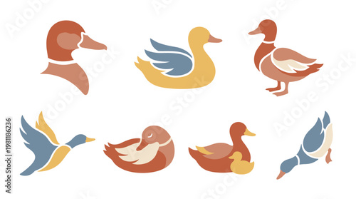 Ducks in Various Poses Illustration.