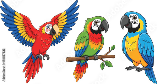 Colorful parrot birds collection with macaw species flying and perched vector illustration for tropical wildlife, exotic animals and nature design