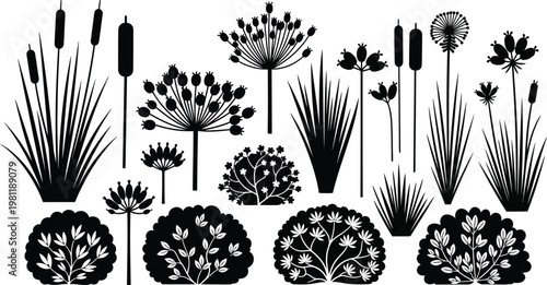 Black and white illustration of various plants and mushrooms in a forest setting Vector