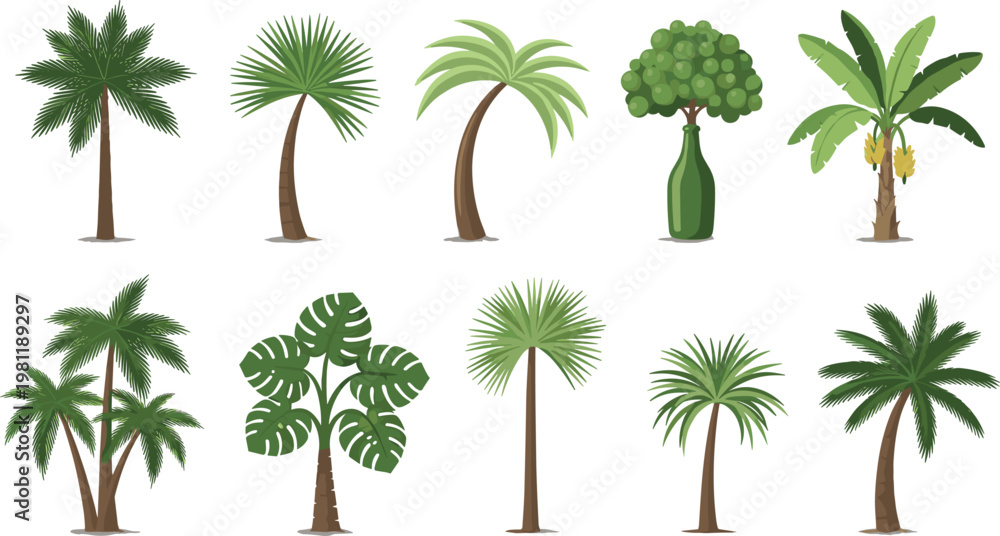 Obraz premium Variety of Tropical Trees Vector Set Including Palm Banana and Decorative Plants Isolated Collection for Nature Landscape Garden and Botanical Design