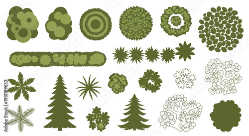 Diverse collection of vector illustration tree top views for architectural landscape and site plan design