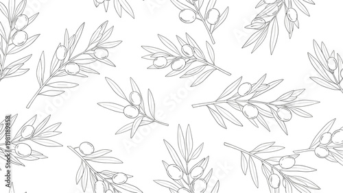Detailed seamless pattern of olive tree branches with leaves and fruits in a delicate black and white line art illustration style.