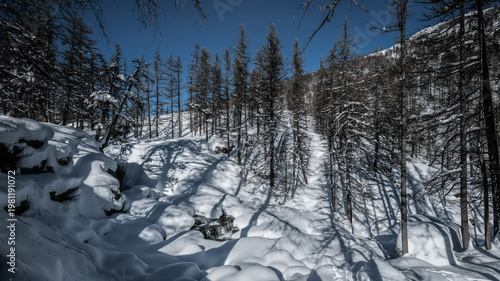 Snowshoeing in the Clarée valley in winter - France