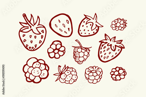 Hand-drawn collection of assorted berries strawberries and raspberries in a simple red outline style on a cream background strawberry raspberry illustration collection
