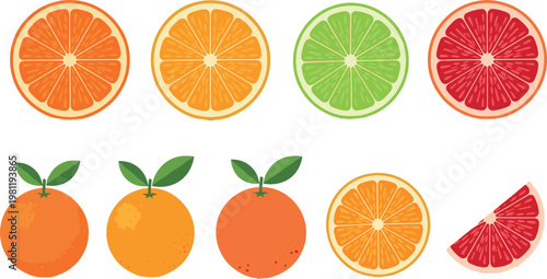 Fresh Citrus Fruit Vector Illustration Set Featuring Lemon Orange Lime Slices with Green Leaves Isolated on Light Background for Healthy Food Design