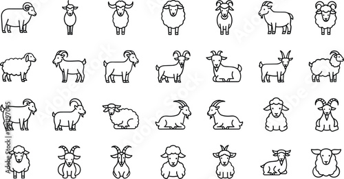 Set of various sheep and goat animal line icons on white background, farm livestock collection.