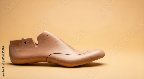 Shoe last in a minimalistic style on a light background
