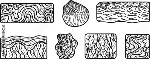 Intricate black and white line art patterns showcasing various organic shapes and textures Vector