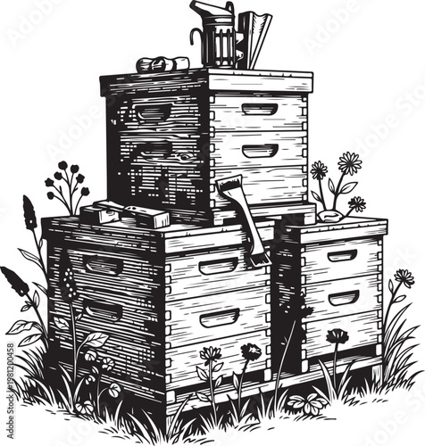 Traditional wooden beehives stacked outdoors with beekeeping tools nearby hand drawing illustration vector