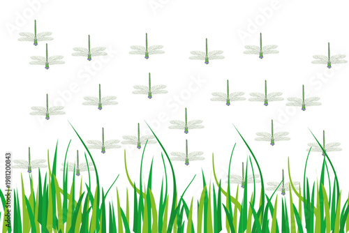 A whimsical illustration showcases numerous light green dragonflies fluttering amidst blades of vibrant green grass against a white backdrop.
