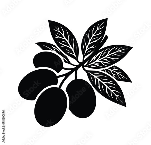 手描き風の素朴なオリーブの枝、黒い実と葉が特徴のシンプルでエレガントなベクターイラスト素材。地中海料理や健康食品、美容関連のデザインに最適なアイコン。