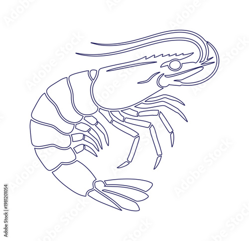新鮮なエビのシンプルな線画イラスト、シーフードレストランや水産加工品のメニューデザインに最適なベクター素材