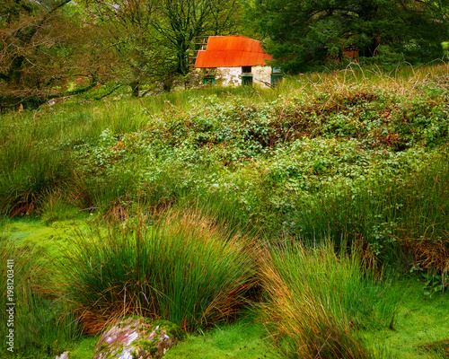 Wallpaper Mural Abandoned rustic stone cottage featuring a striking red roof on a hillside surrounded by trees during autumn. Torontodigital.ca