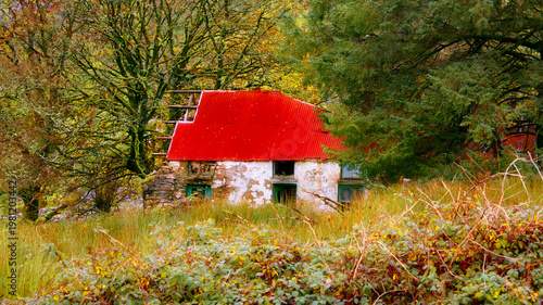 Wallpaper Mural A rustic abandoned country building stands on a grassy slope. It features crumbling white walls, green window frames, and a bright red corrugated roof. Torontodigital.ca