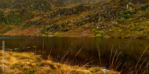 Wallpaper Mural Dark, calm lake water mirrors a steep, rocky hillside. The slope is covered with green moss, brown and red vegetation, and golden grass. Reeds stand at the waters edge. Torontodigital.ca