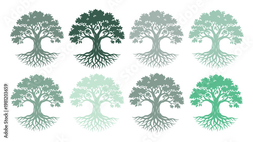 生命の樹、力強い根と豊かな葉を持つオークの木々、自然と成長を象徴する緑色のベクターイラストセット。環境保護、持続可能性、家族のルーツを表現するデザイン素材。