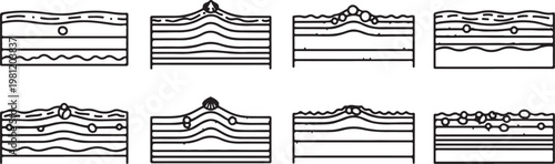 Diagram showing different types of bridges and their structural components Vector