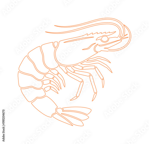 新鮮なエビのシンプルな線画イラスト、シーフードレストランや水産加工品のロゴデザインに最適なベクター素材、海の幸の美味しさを表現するアイコン。