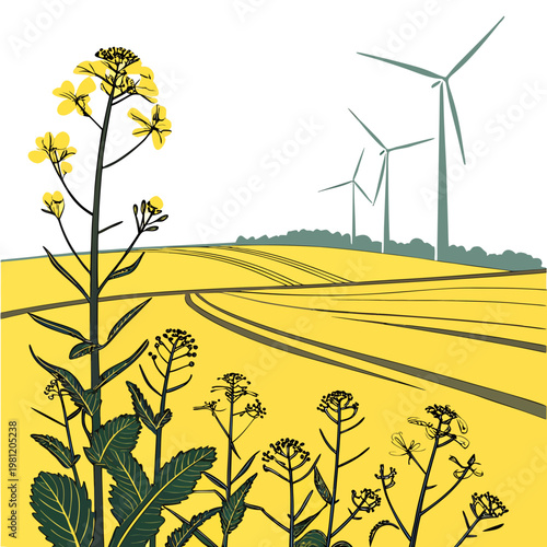 A stylized illustration depicts a vibrant yellow field of rapeseed flowers with distant wind turbines on a clear day high quality professional