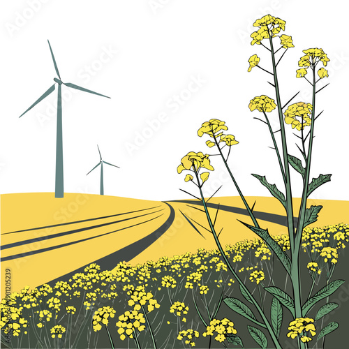 A stylized illustration depicts a vibrant yellow field of rapeseed flowers with wind turbines in the distance conveying renewable energy high quality