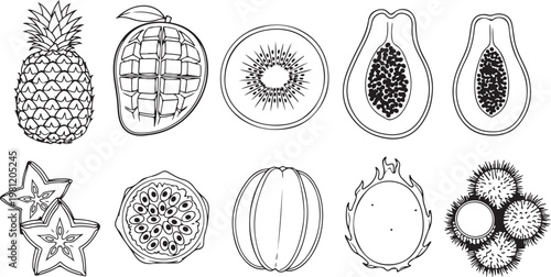 Collection of intricate mandala designs and symmetrical geometric patterns Vector