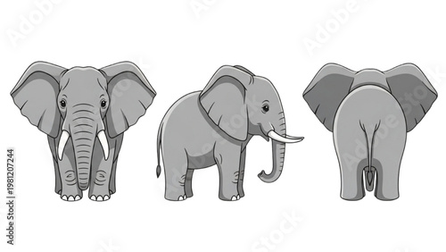 Elephant Character Vector Set in Multiple Angles Minimal Flat Illustration Isolated on White