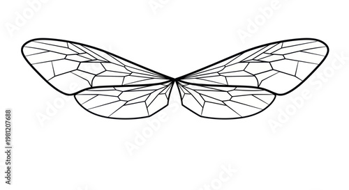 Geometric insect wings illustration on a white background