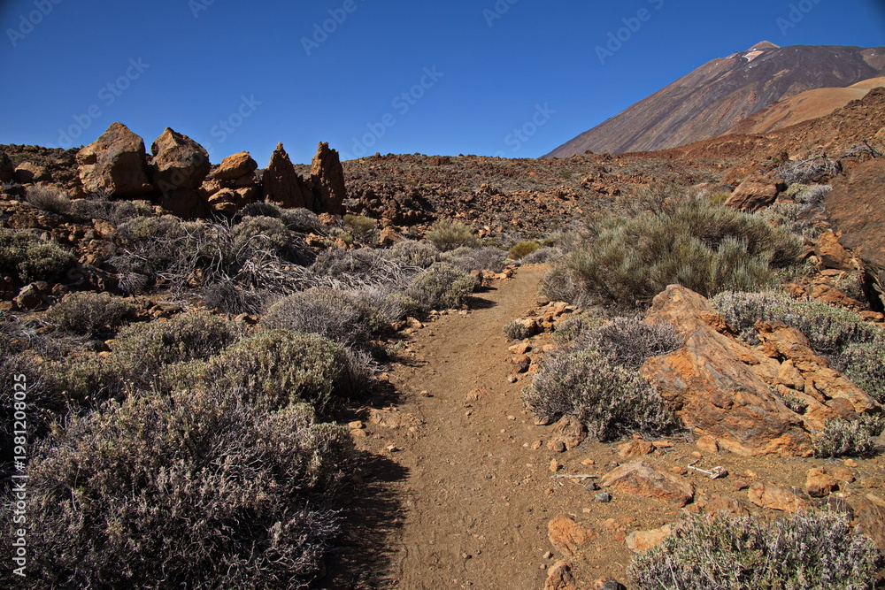 Fototapeta premium Hiking track 