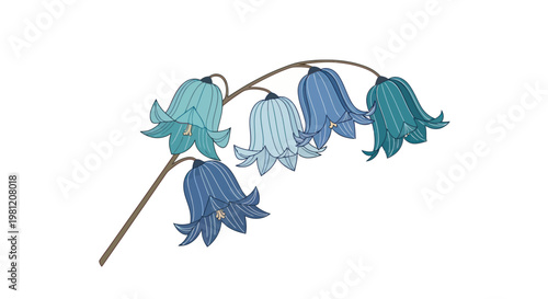 Blue bellflower illustration with blooming bluebell branch on white background