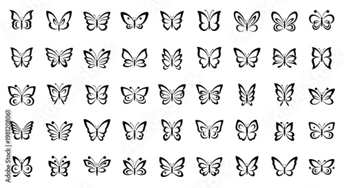 Collection of various butterfly illustrations.