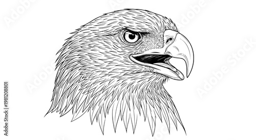 Detailed eagle head illustration with open beak on white background