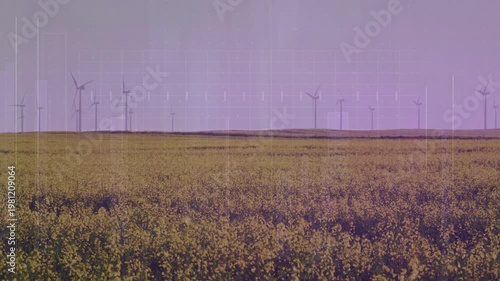 Breeze starting, canola swaying while turbines rotating and scanlines appearing, showing mauve tint