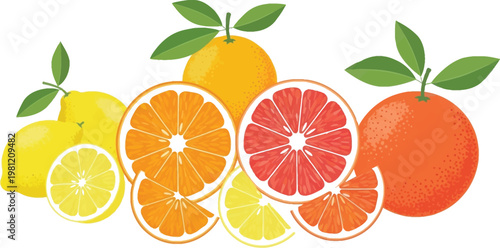 Vibrant citrus fruits displayed with their juicy interiors exposed