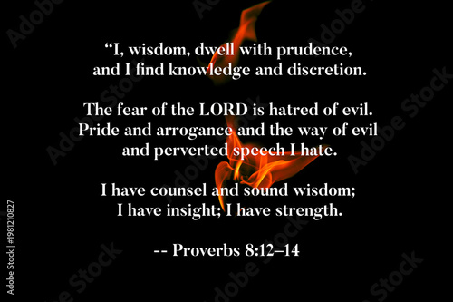 Proverbs 8 12-14