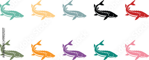 Colorful Sturgeon Fish Silhouettes Aquatic Animal Collection, Sturgeon Fish Silhouette Marine Life Set White Background