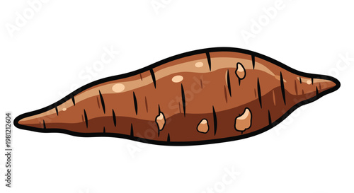 Fresh elongated sweet potato with brown skin and slight imperfections, showcasing a healthy and nutritious root vegetable ready for cooking.