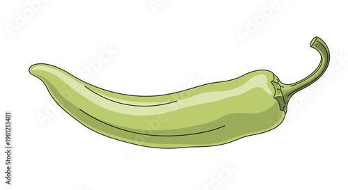 Single elongated green chili pepper with a slight curve, showcasing a fresh and vibrant spice known for its piquant flavor in various dishes.