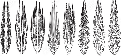 Intricate patterns and designs reminiscent of traditional motifs and textures Vector