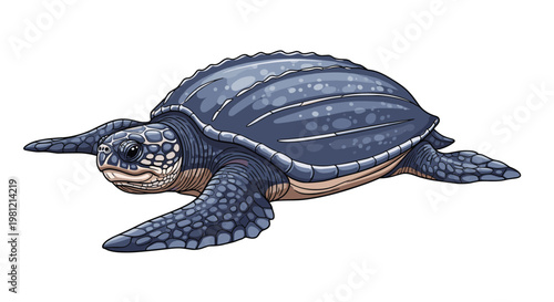 Massive leatherback sea turtle, gracefully swimming, showcasing its unique ridged, dark gray shell and powerful flippers.