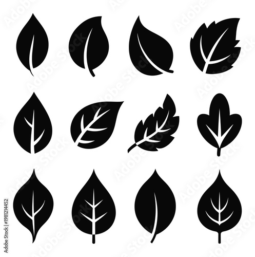Collection of Black Leaf Silhouettes on White Background