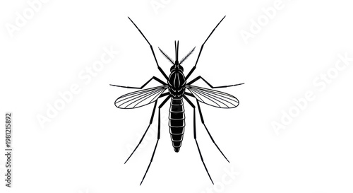 Black silhouette of a mosquito against a white background