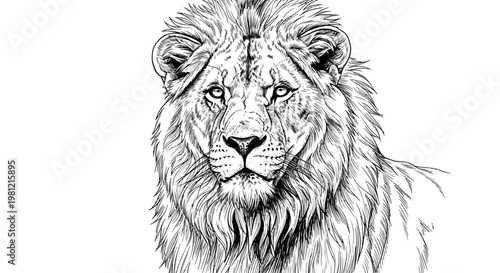 Detailed monochrome lion illustration with intricate line art and a white background