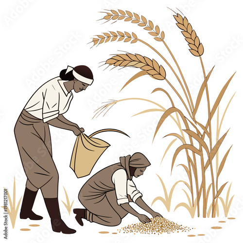 A vintage style illustration depicts two women harvesting grain with scythes in a field of golden wheat stalks high quality professional detailed