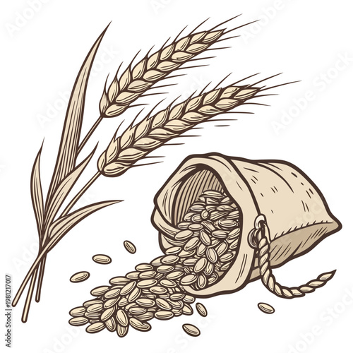 A vintage style illustration depicts several stalks of golden wheat and a partially filled sack overflowing with grain kernels high quality professional