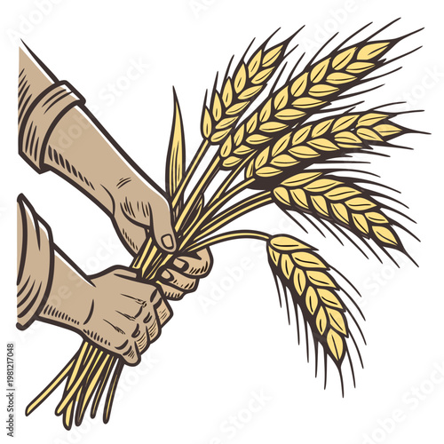 A vintage style illustration depicts two hands gently holding a bountiful bundle of golden wheat stalks symbolizing harvest and agriculture high quality