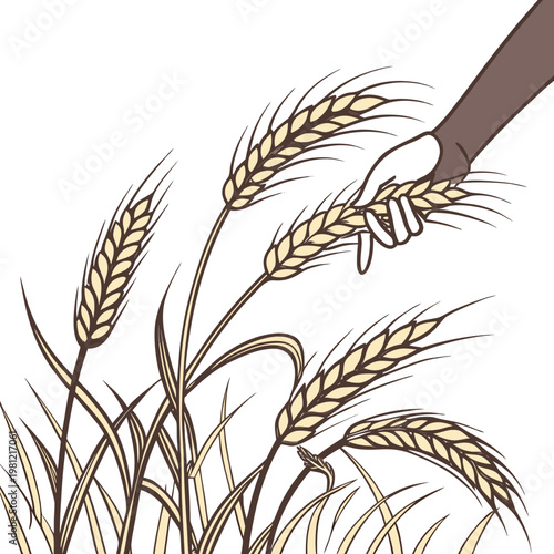 A stylized illustration depicts a hand gently holding stalks of golden wheat symbolizing harvest agriculture and the bounty of the earth