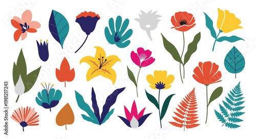 Adobe Illustrator Artwork