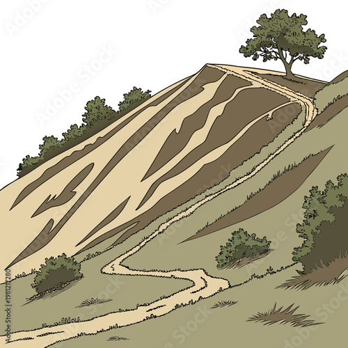 A winding dirt path snakes its way up a steep terraced hillside leading to a solitary tree atop the crest high quality